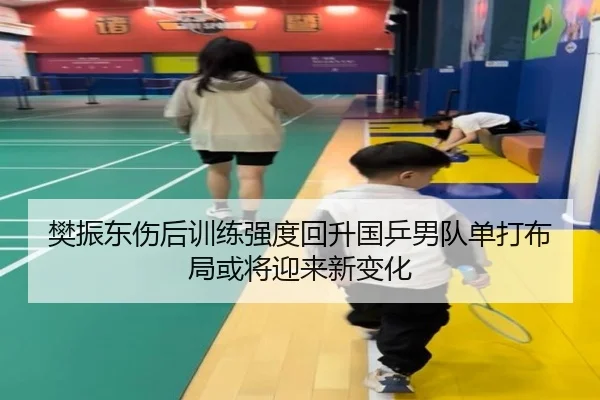 樊振东伤后训练强度回升国乒男队单打布局或将迎来新变化