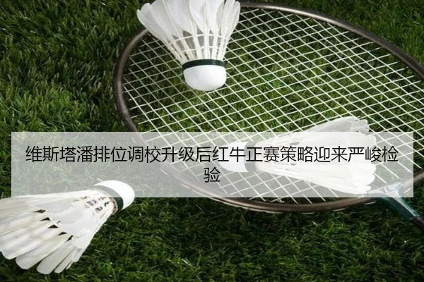 维斯塔潘排位调校升级后红牛正赛策略迎来严峻检验