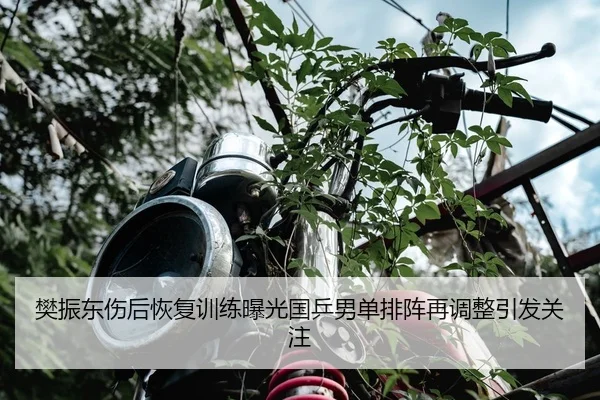 樊振东伤后恢复训练曝光国乒男单排阵再调整引发关注